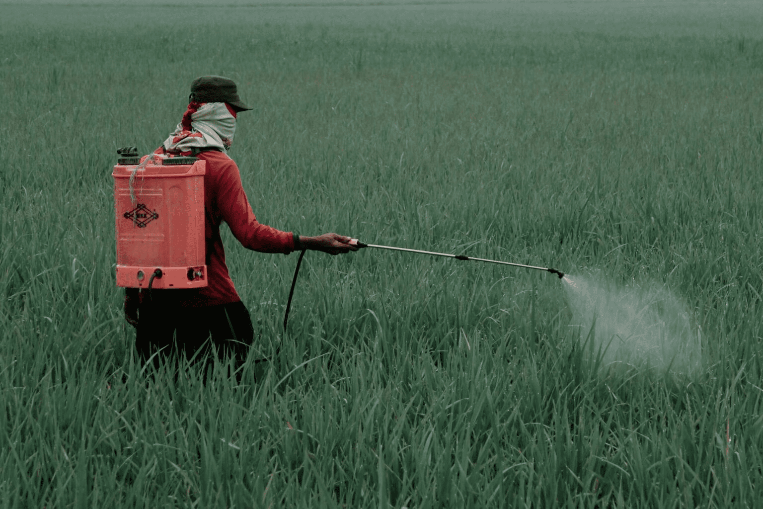 Gobierno de México prohíbe 35 plaguicidas peligrosos