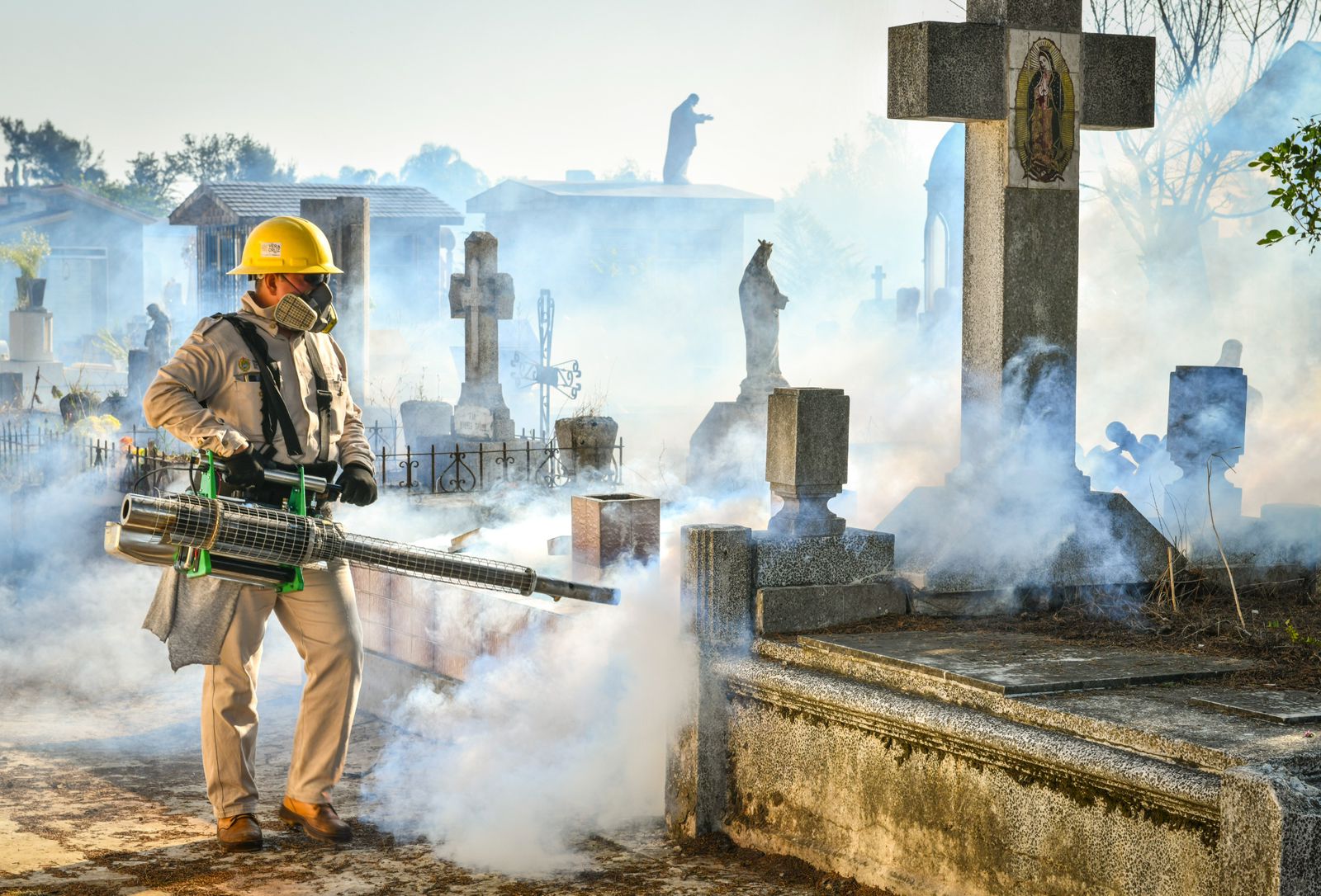 Veracruz, primer lugar con más casos de dengue en el país
