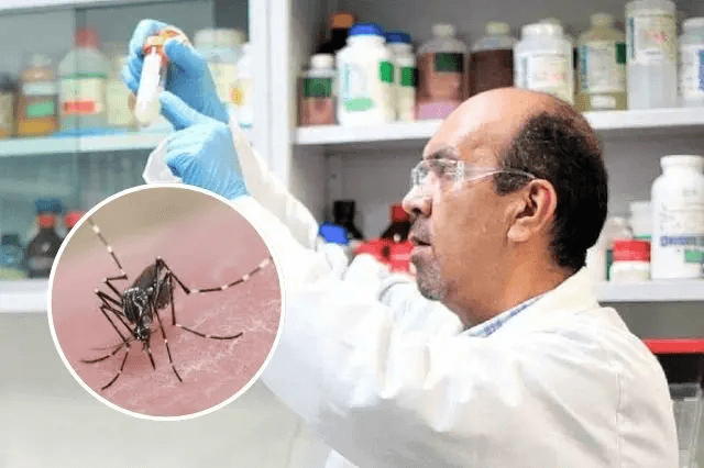 Científicos crean bioinsecticida que bloquea larvas del mosquito del dengue