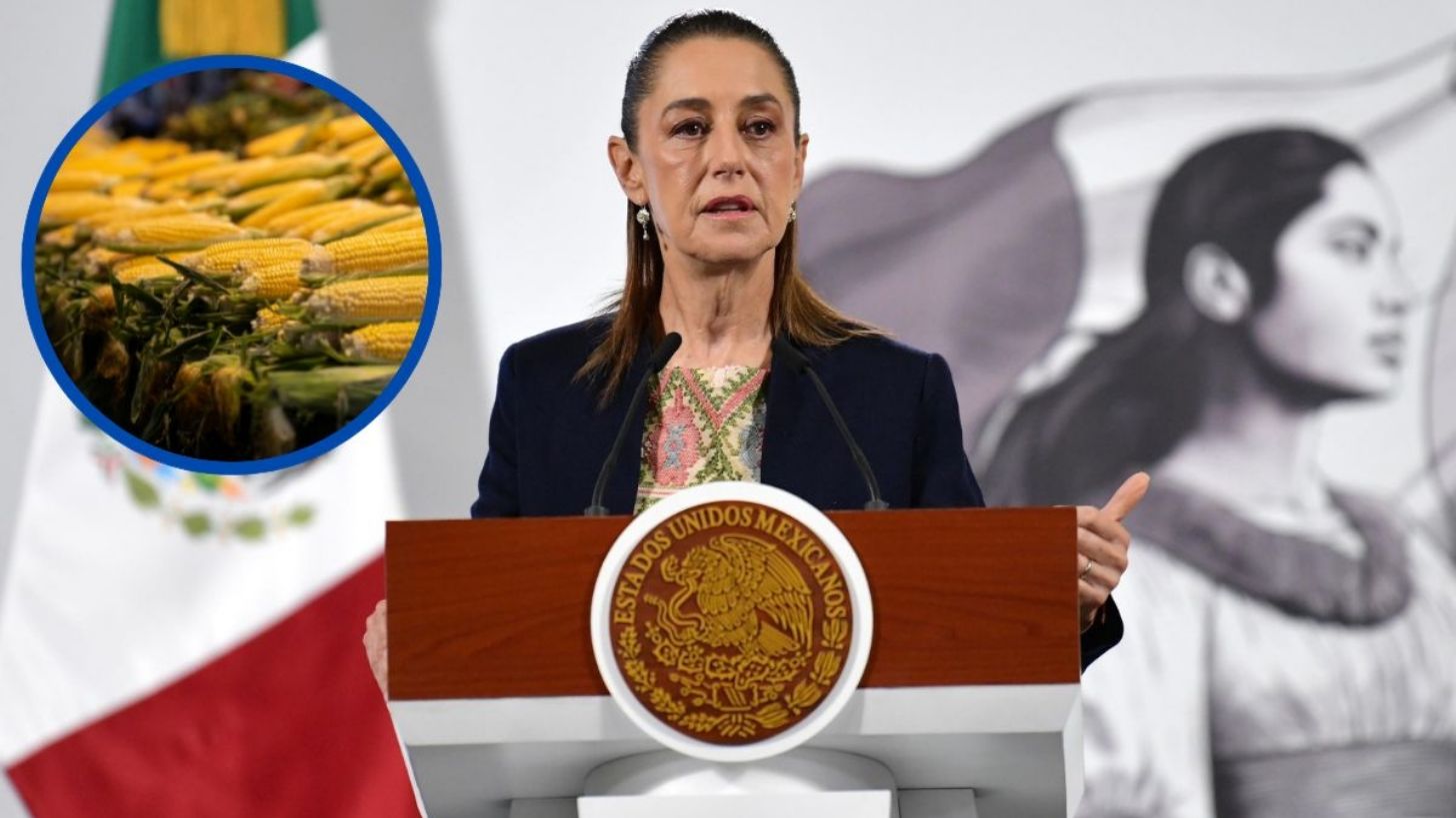 Gobierno prevé implementar programa para el cultivo de maíz criollo