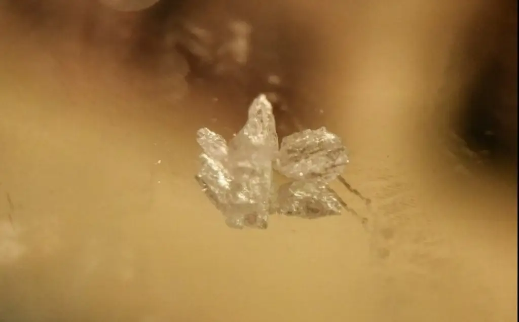 Alertan que accesibilidad y precio propagan el cristal como epidemia en Veracruz