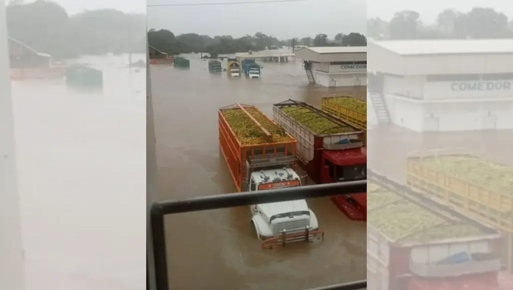Tráileros perdieron unidades y cargamento de frutas por inundaciones en Álamo