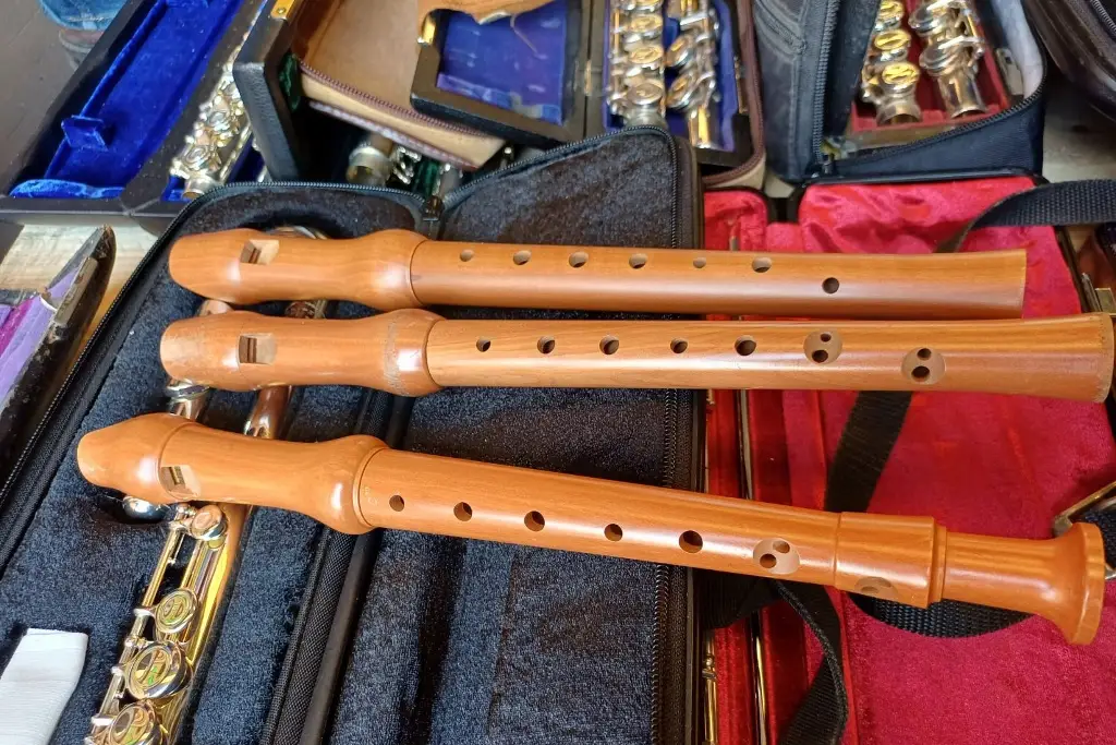 Desde Veracruz, entregan instrumentos musicales donados a niños de Chiapas; esto se sabe