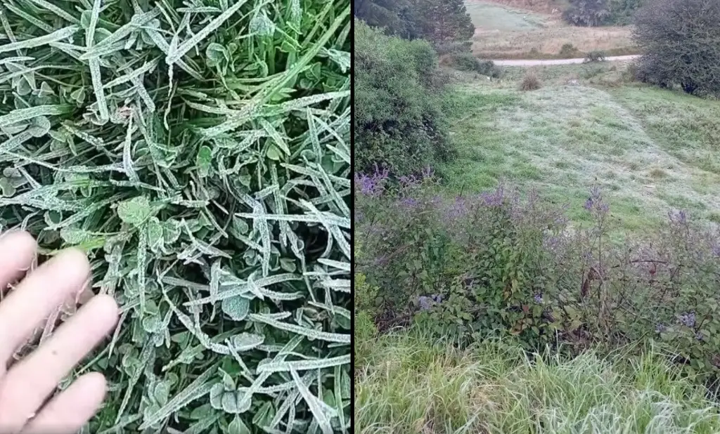 Continúan las heladas en estos municipios de Veracruz: Conagua