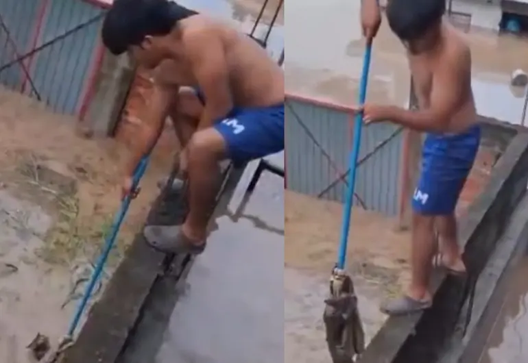 Inundaciones en Veracruz: niño rescata a gatito durante inundaciones en Veracruz