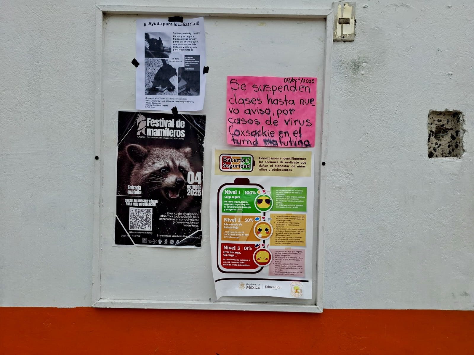 Alerta sanitaria en Coatepec: brote de Coxsackie obliga a cerrar primaria “Rafael Ramírez”