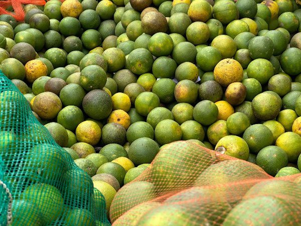Vendedores de cítricos prevén alza en precios por escasez de producto