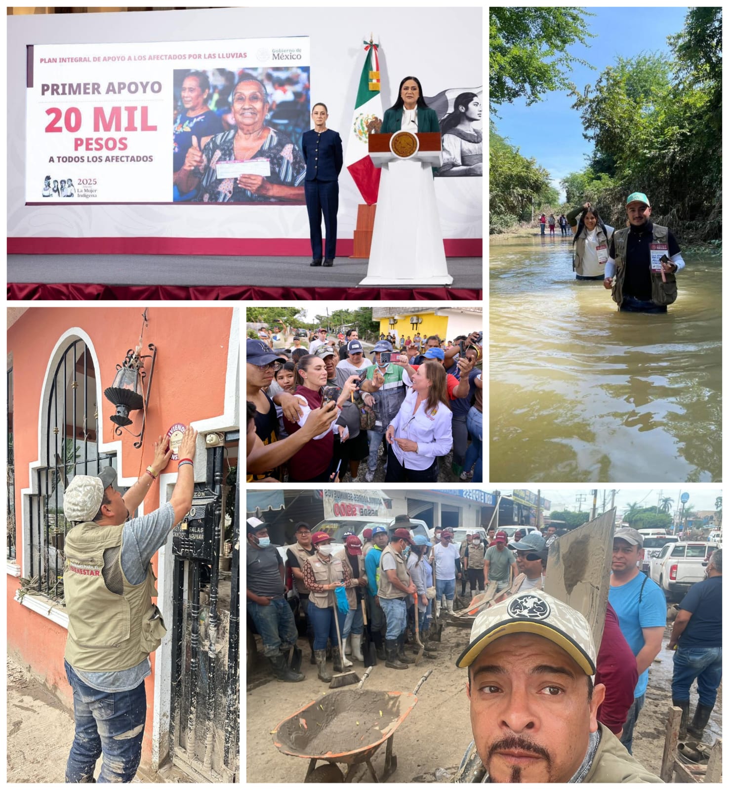 Veracruz no está solo.