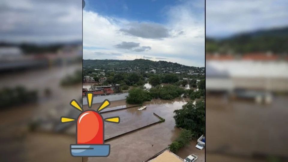 En Poza Rica, niño queda atrapado en árbol durante inundación
