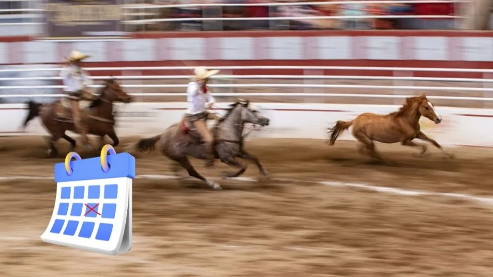 Este es el Día del Caballo en Veracruz, oficial por decreto de Nahle