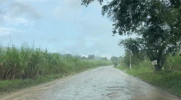 Lluvias postergan el arranque de la zafra 2025–2026