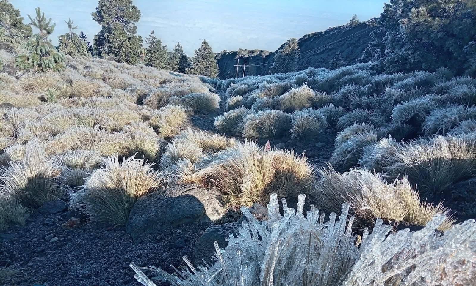 Así estará el clima en Veracruz este jueves 27 de noviembre