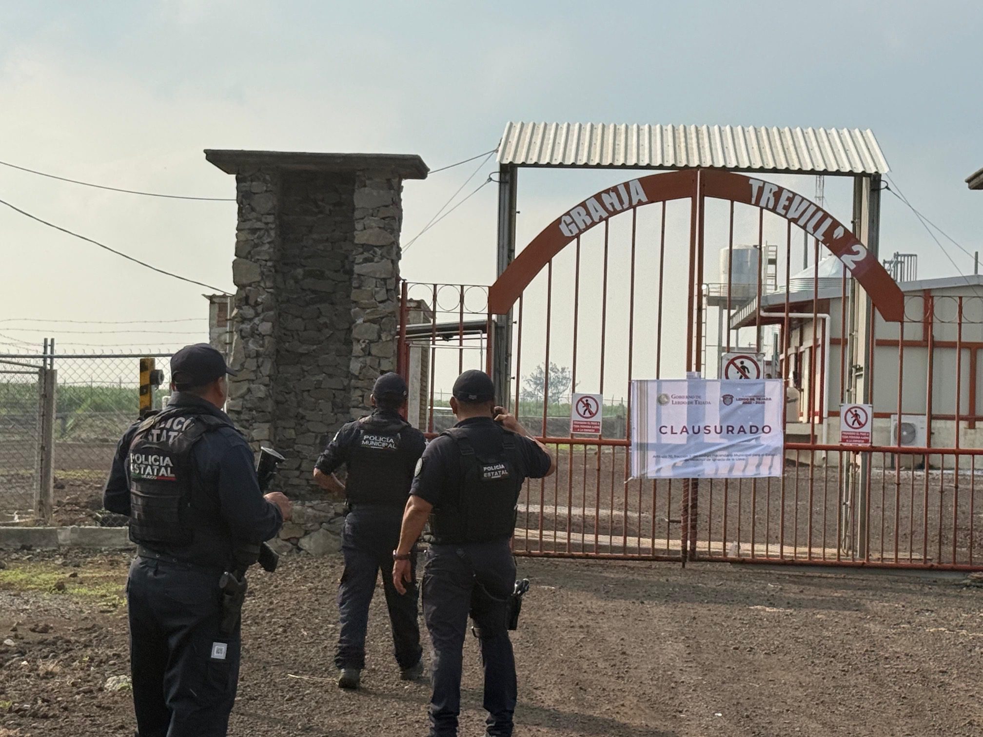 En Veracruz operan granjas avícolas ilegales; clausuran dos en Lerdo