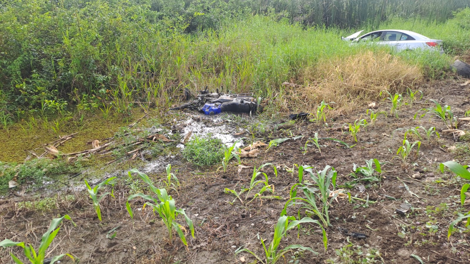 Muere motociclista tras accidente vial en la carretera Santa Cruz–Cosamaloapan