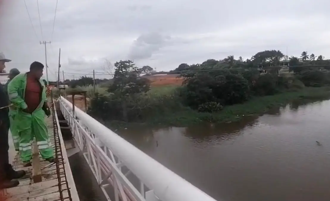 Alarma en Coatza por avistamiento de cocodrilo de dos metros