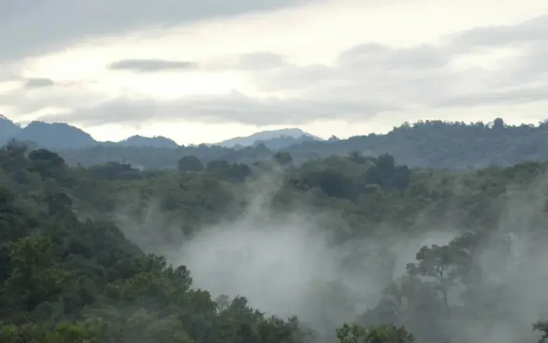 Clima en Veracruz: continúan las lluvias y el ambiente frío