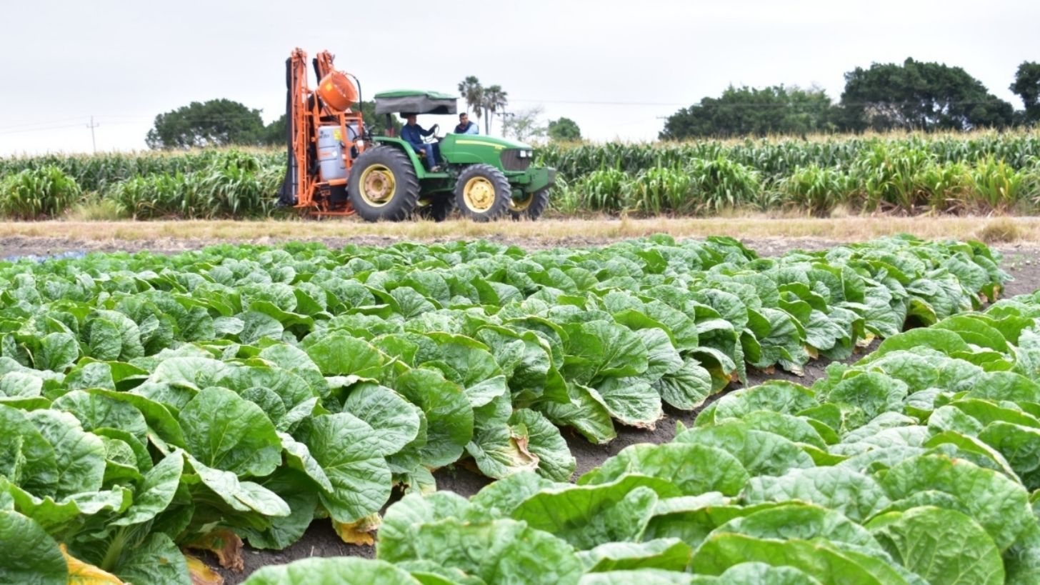 Hay certidumbre en la economía: Sheinbaum