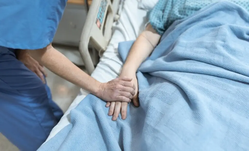 Conoce un poco acerca del virus Nipah; ven poco probable que se convierta en pandemia