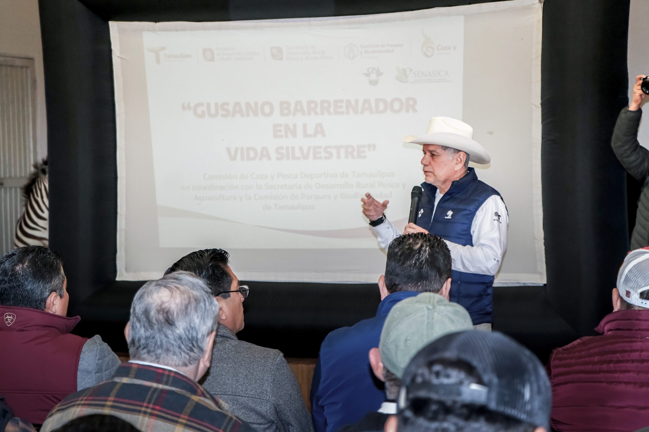 Estrategia sanitaria para contener el gusano barrenador del ganado da resultados positivos en Tamaulipas, Veracruz y San Luis Potosí