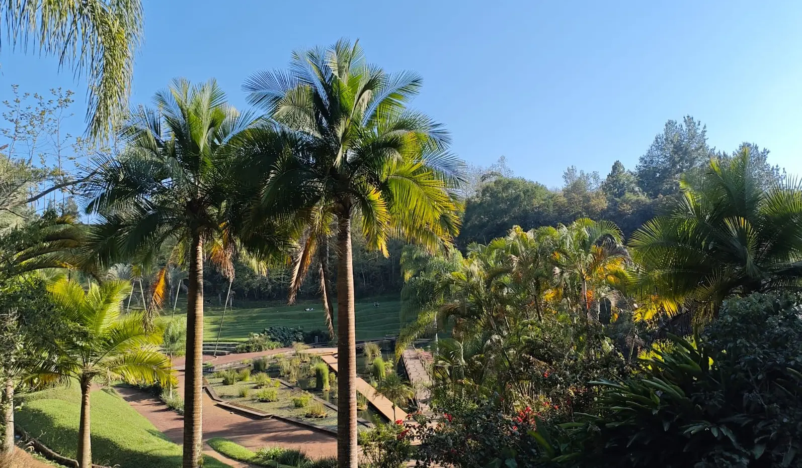 Clima en Veracruz: este jueves 26 de febrero continuará el calor