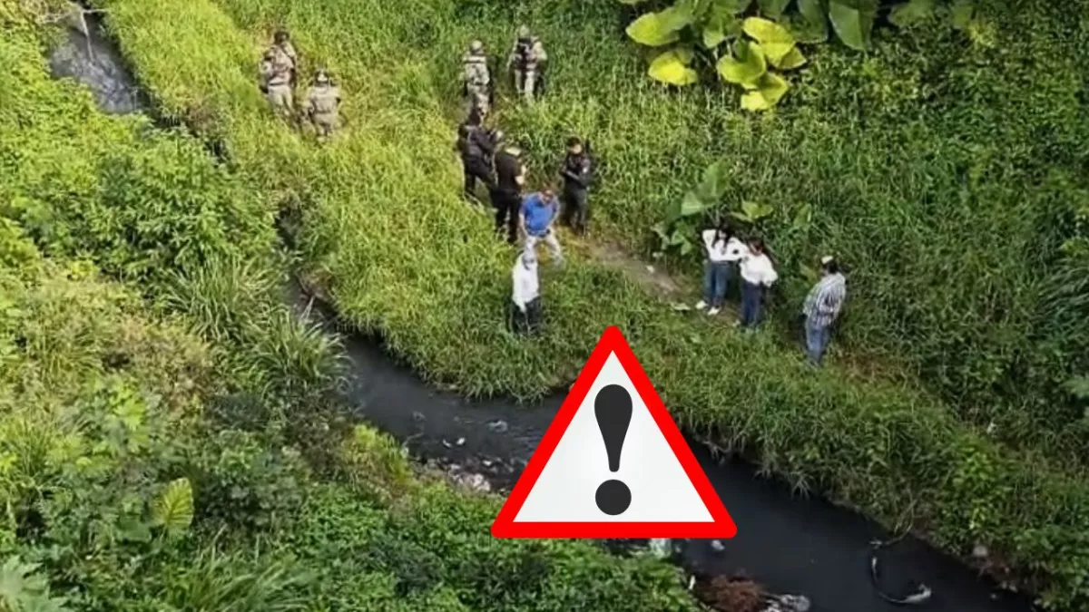 ¡ATROZ! Filtran FOTOS de bebé que estaba siendo devorado por zopilotes bajo puente de Veracruz