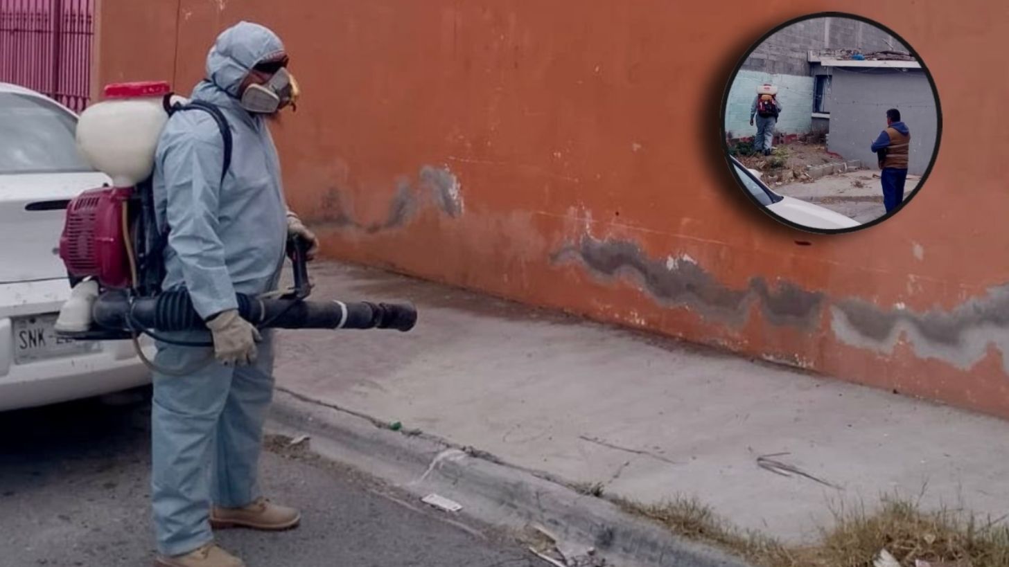 Mueren dos hermanos por mordedura de garrapata en Coahuila, autoridades activan la alerta epidemiológica