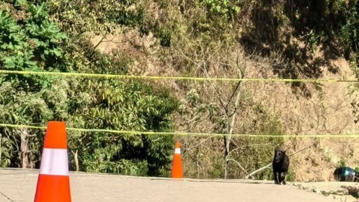 Detienen a 3 personas ligadas al ataque a alcaldía de Jiquilpan tras muerte de “El Mencho”