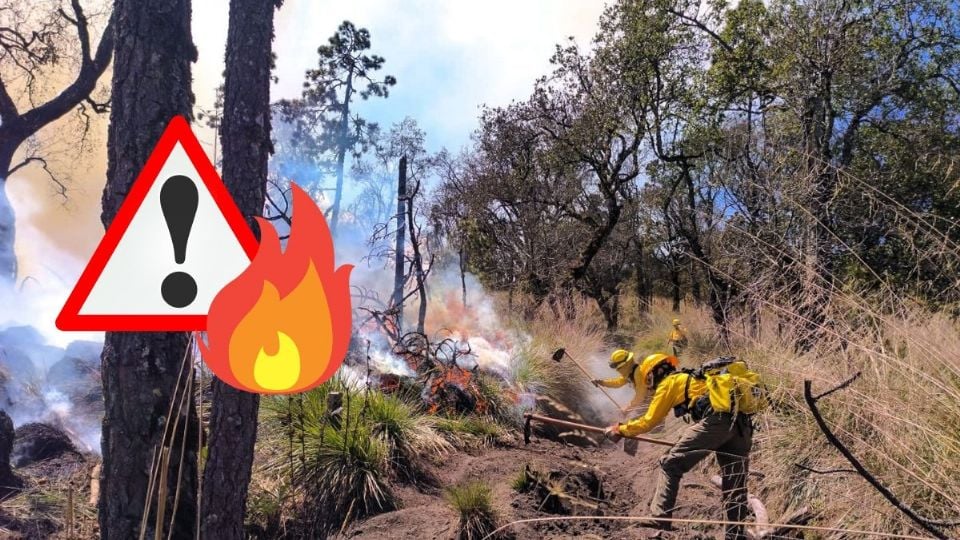 Incendio forestal en Calcahualco, Veracruz, lleva activo 2 días