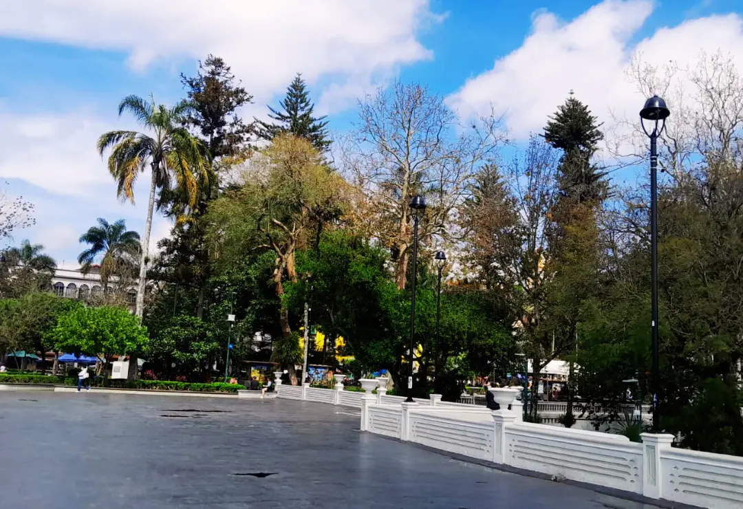 El frío dará tregua en Veracruz; PC prevé días más cálidos