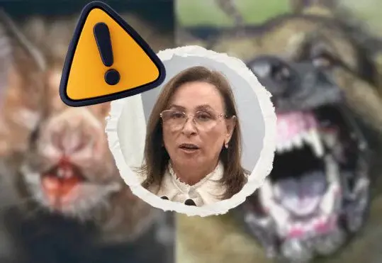 Nahle aclara que caso de rabia en Veracruz no corresponde a 2026