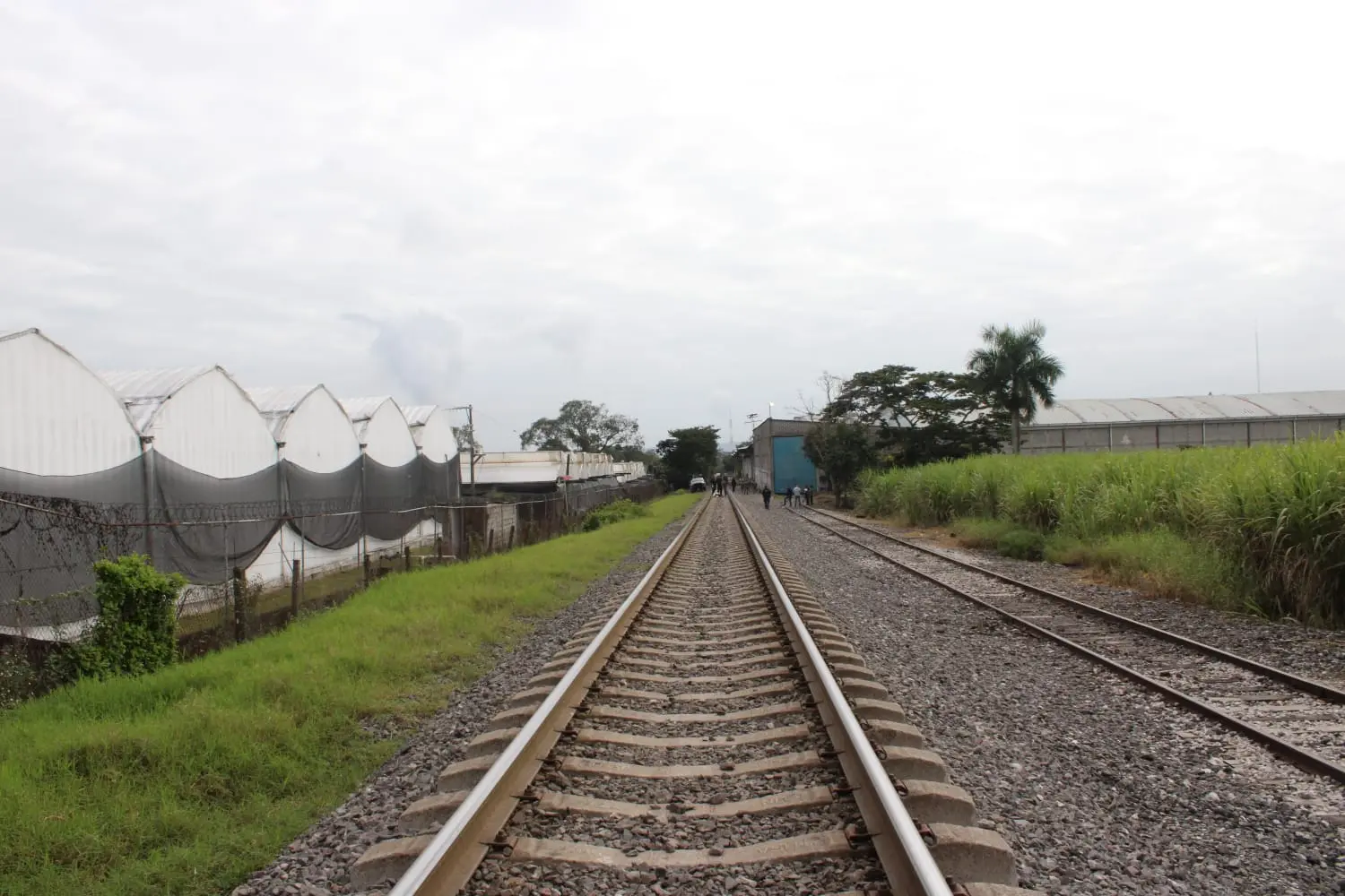 Tren arrolla y mata a hombre en Amatlán de los Reyes