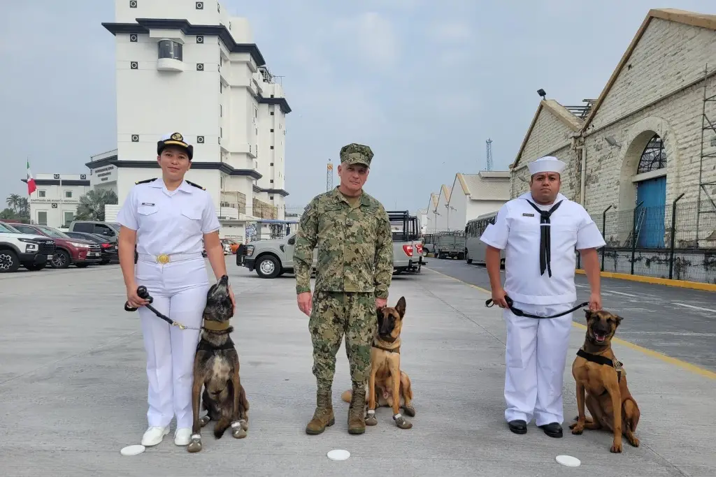 Con honores, jubila Semar a ‘Karam’, ‘Hitzil’ y ‘Kobu’ en Veracruz