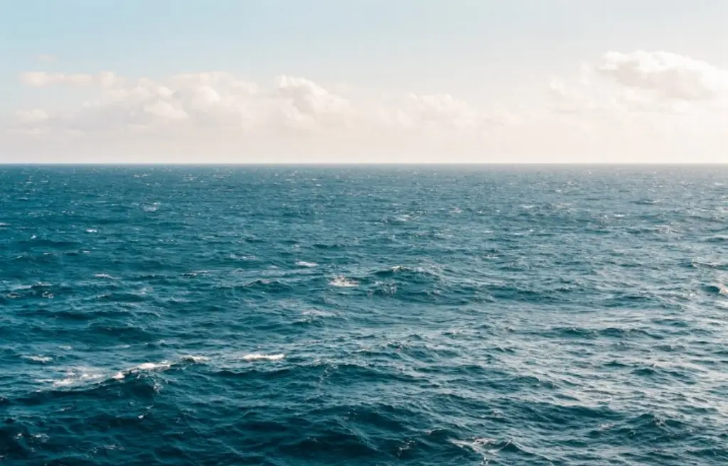 Aseguran ‘narcosubmarino’ en costas de Colima; hay 3 detenidos