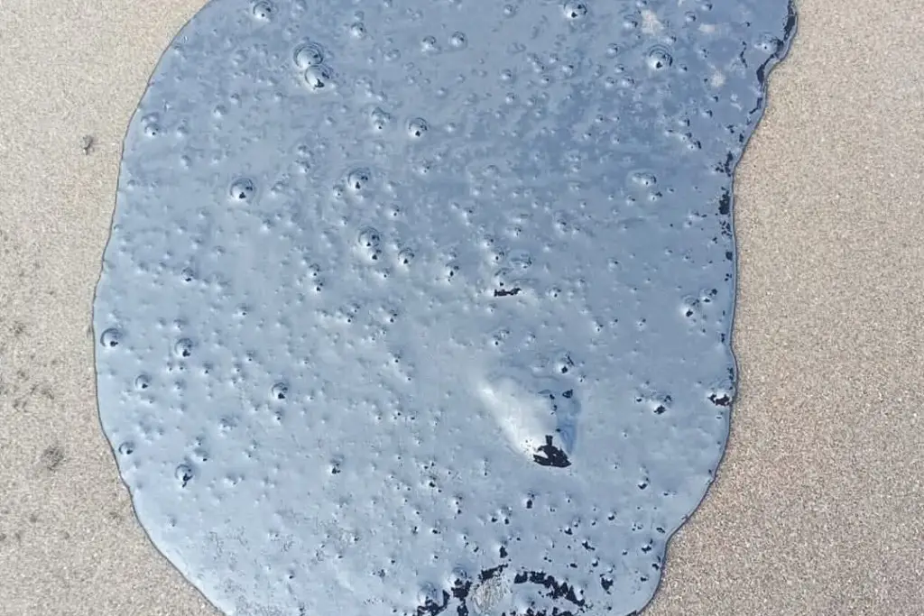 Reportan que derrame que Pemex niega afecta a 39 comunidades de Veracruz y Tabasco