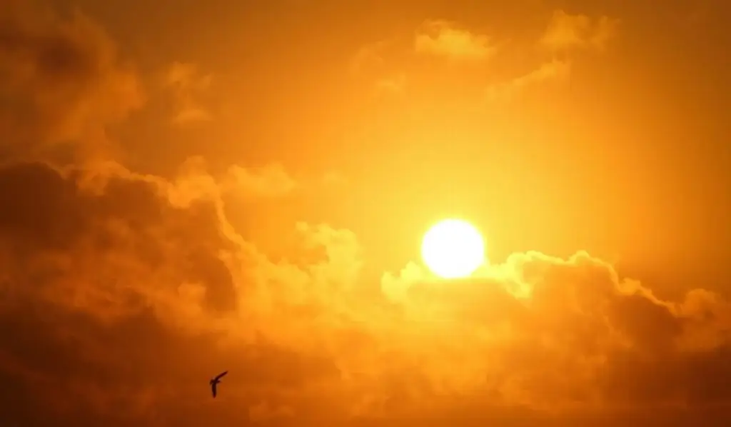 Exposición al calor extremo que dificulta la vida cotidiana se duplica en todo el mundo: Estudio