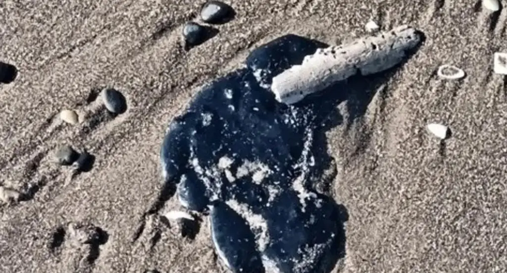 Derrame en el Golfo podría estar ligado a ‘huachicol marítimo’, reportan medios nacionales