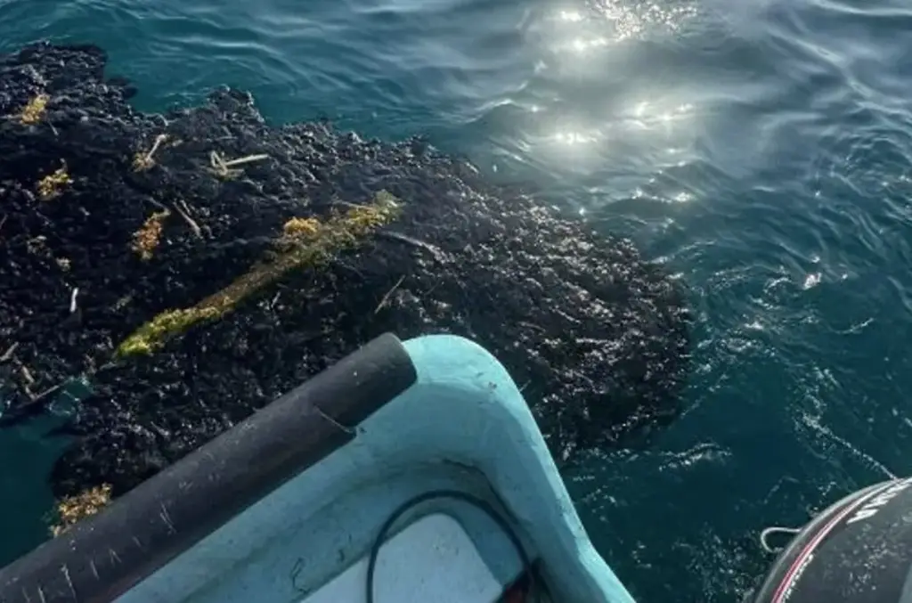 Derrame en el Golfo de México inició en febrero, en un ducto de Pemex y se ocultó: Organizaciones