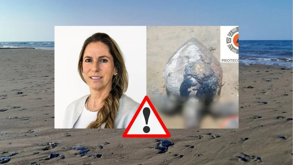 Van 6 animales afectados en Veracruz por derrame hidrocarburo, confirma PROFEPA