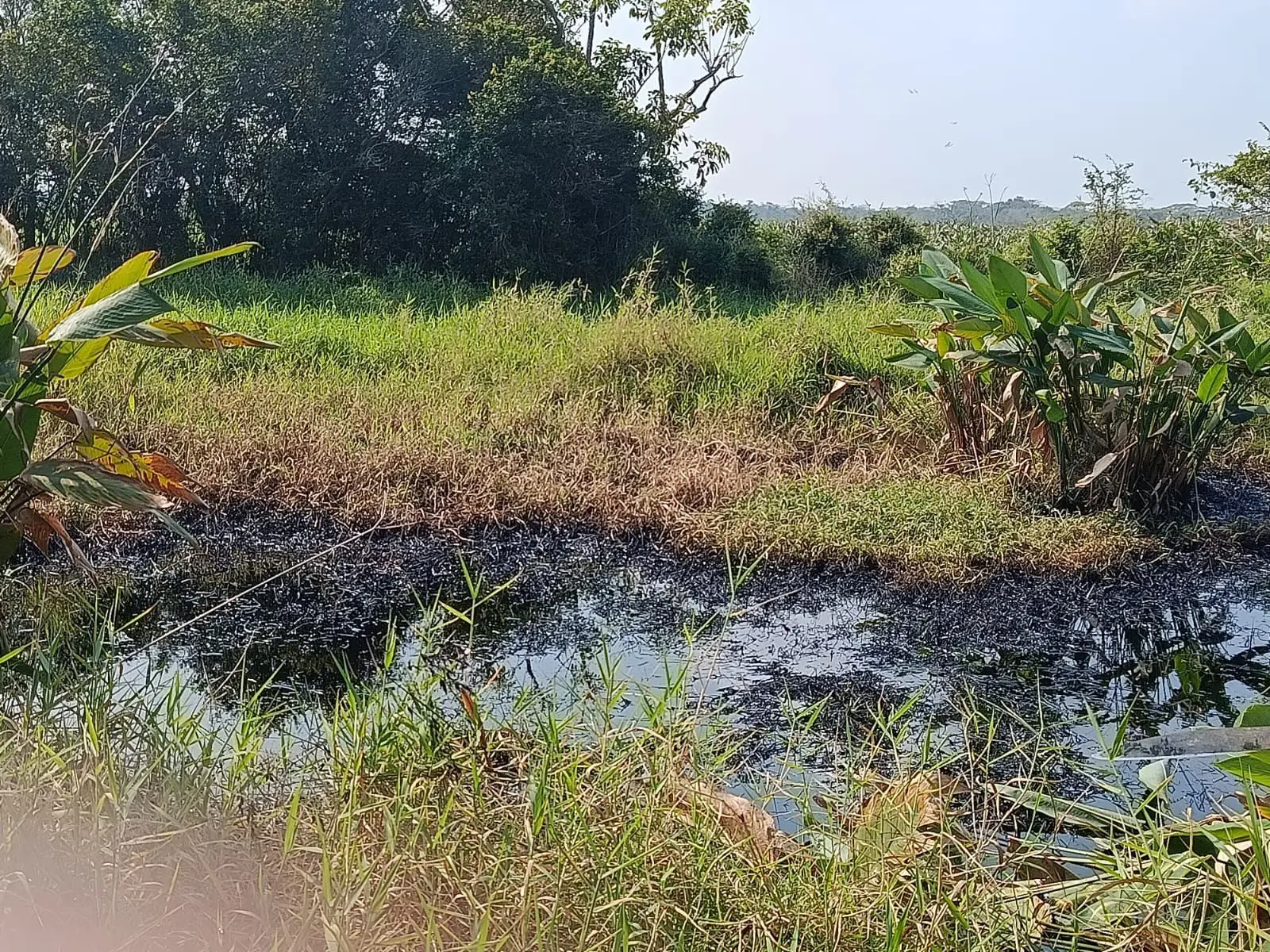 Fuga de crudo genera alerta en Minatitlán y deja 3 menores con náuseas