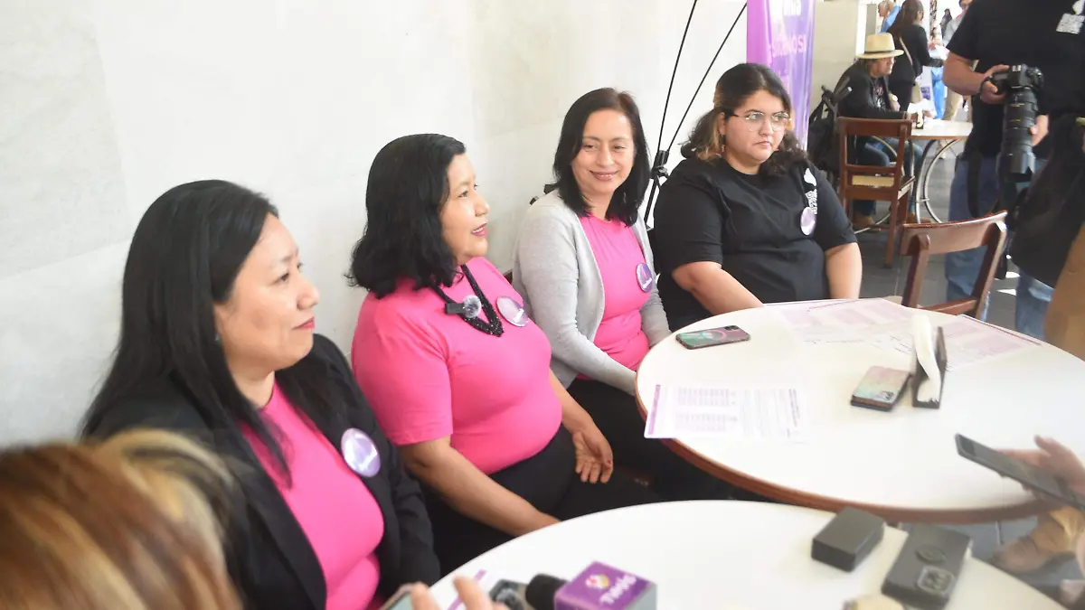 Veracruz en los primeros lugares por embarazo infantil y lesiones por violencia: Equifonía