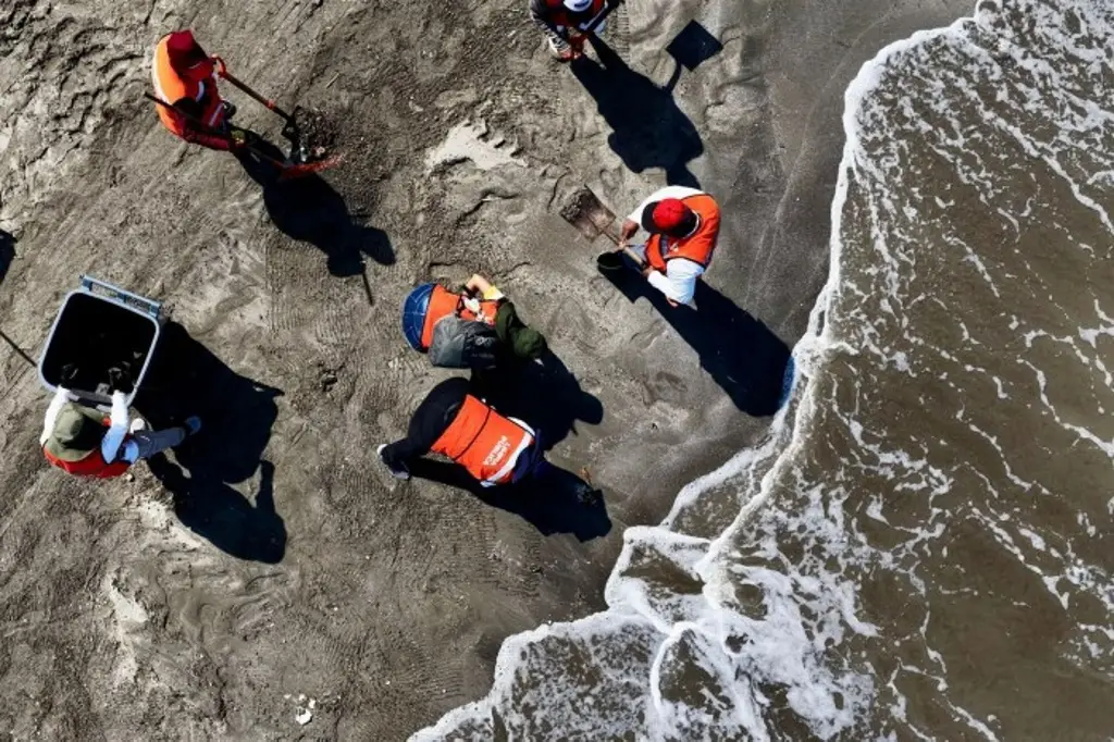 Advierten que daños por derrame de petróleo en el Golfo durarían décadas