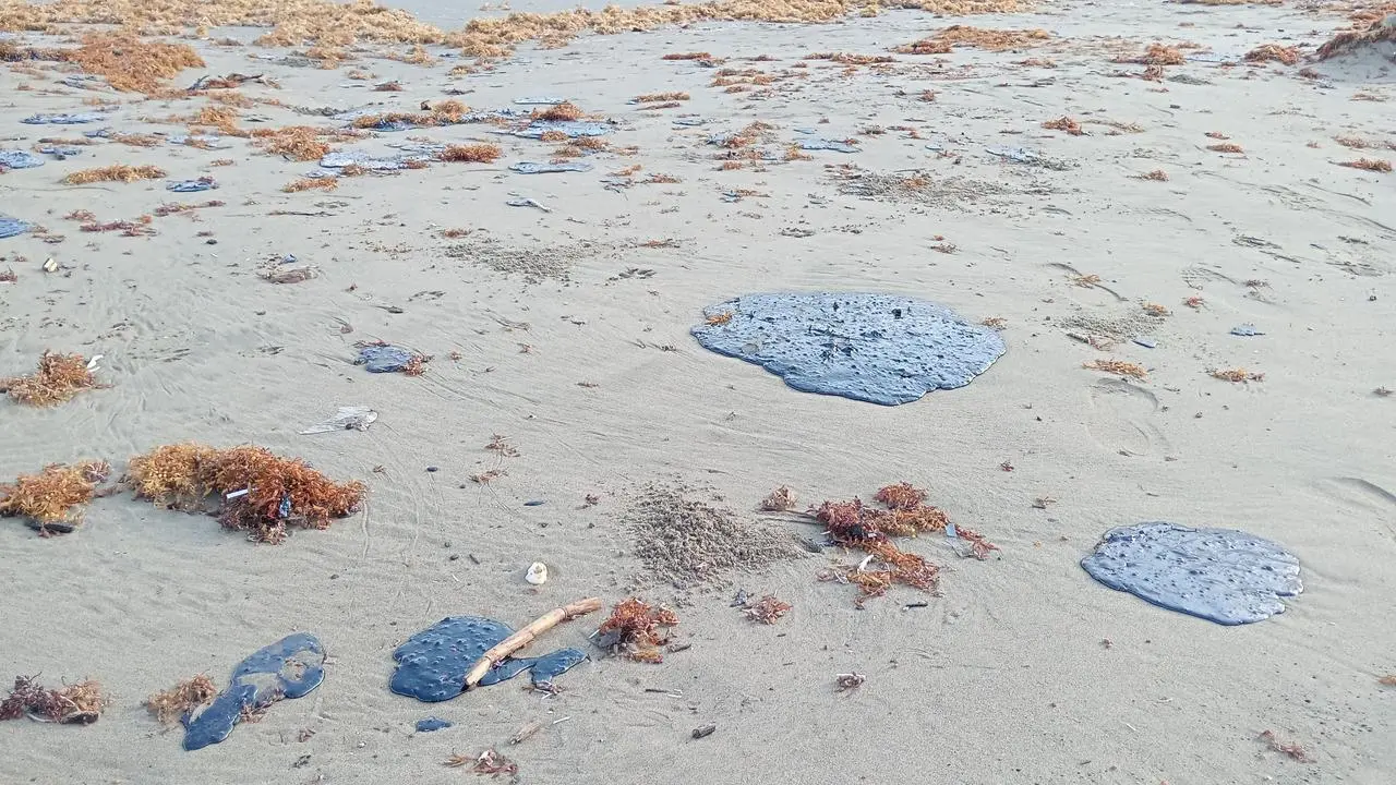Reaparecen fragmentos de chapopote en playa de Coatzacoalcos