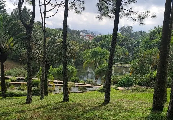 Clima en Veracruz: este jueves habrá un ambiente muy cálido