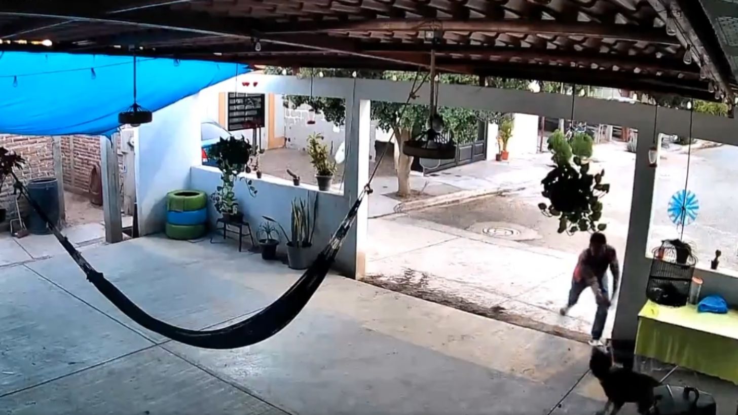 Golpea a perrito hasta fracturarle sus patitas porque le ladró a su hijo; ‘Toto’ no mordió a nadie