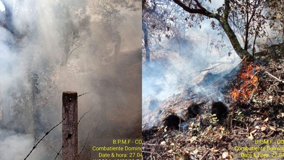 En medio de ola de calor, se activa incendio forestal en Perote, Veracruz