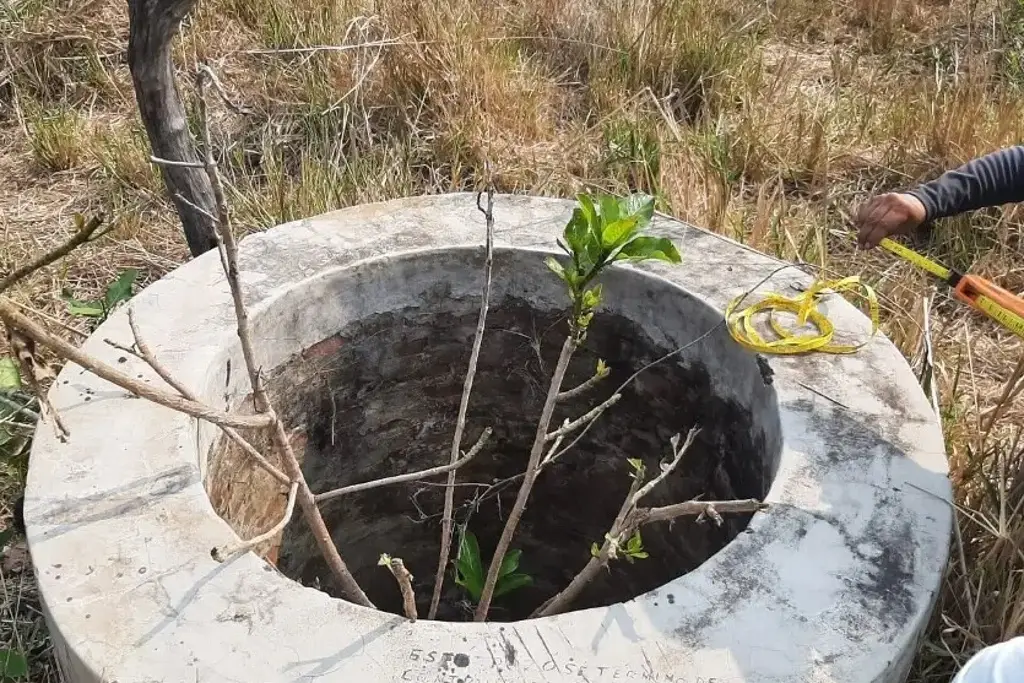 Hallazgo perturbador en un pozo de agua en Veracruz: los restos de una joven mujer