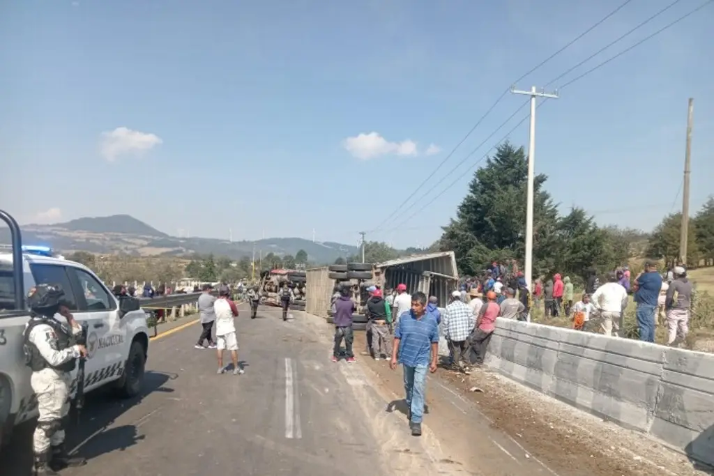 Saquean ganado tras volcadura de tráiler en autopista Orizaba-Puebla