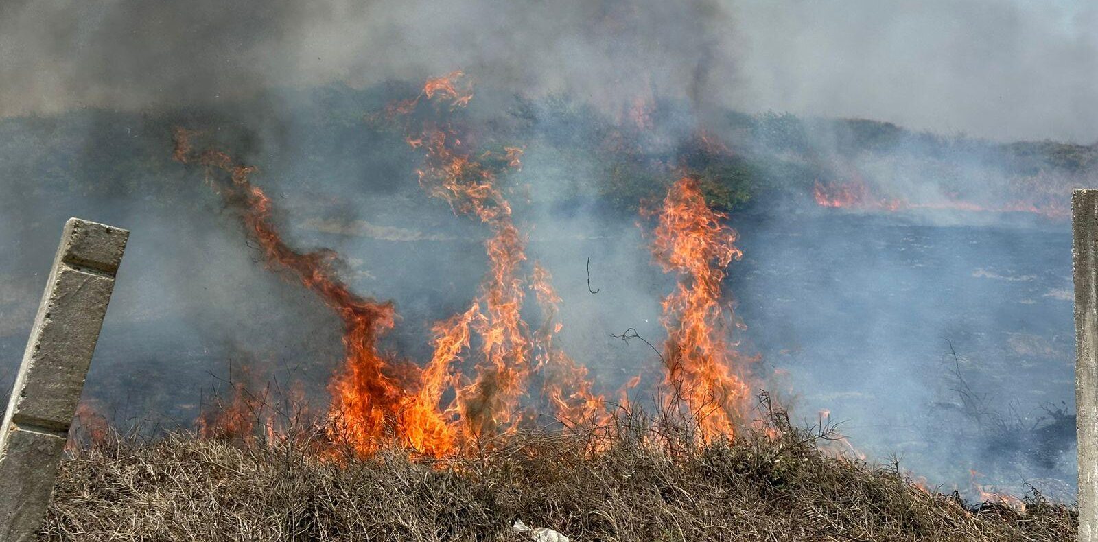 Veracruz registra 62 incendios forestales en lo que va del año