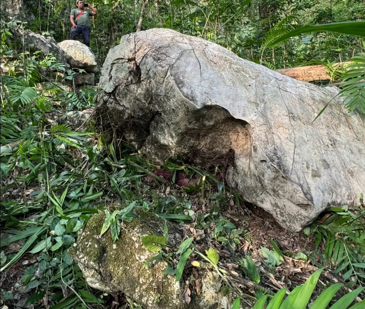 Muere campesino aplastado por roca gigante en Omealca