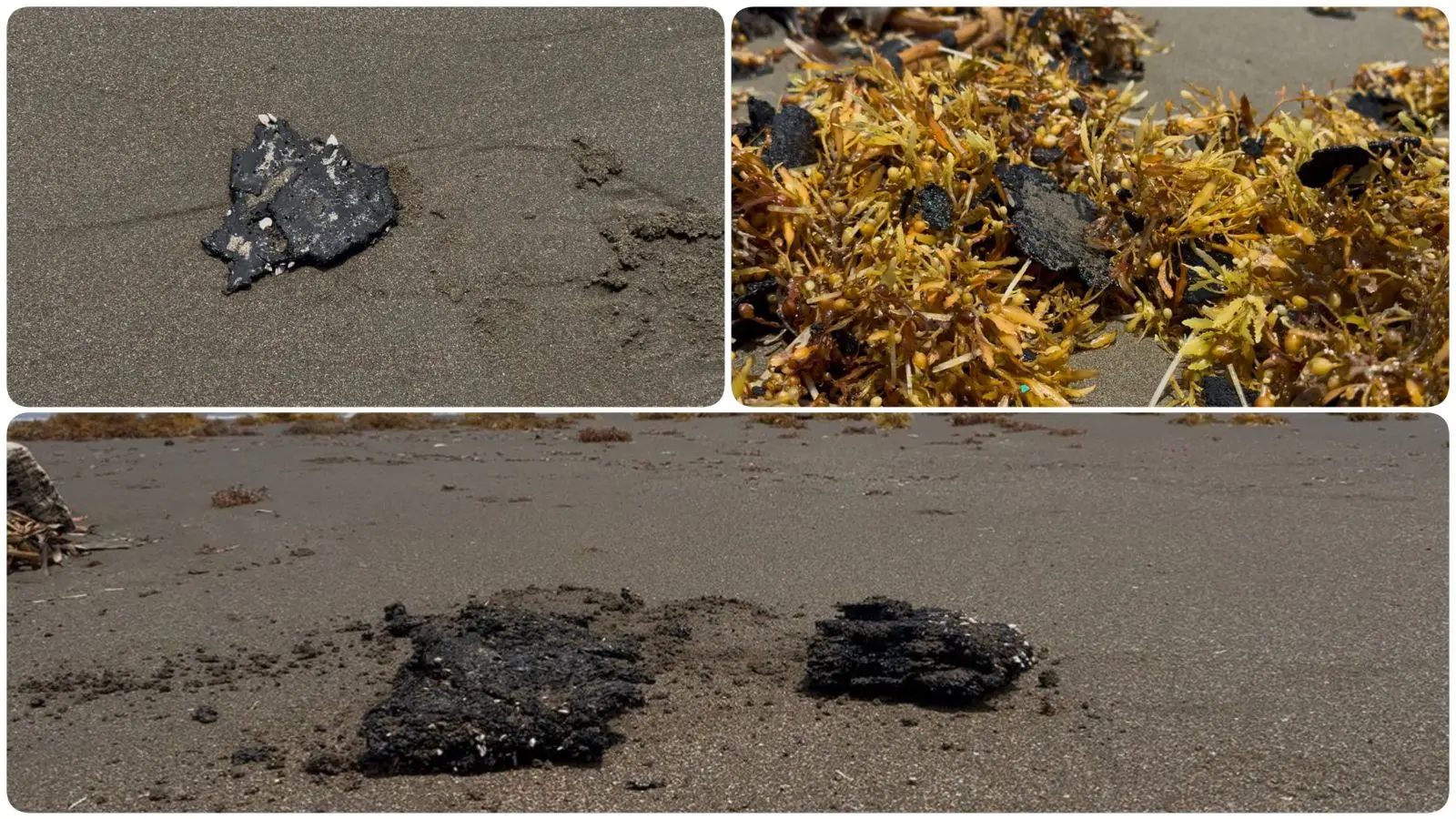 Oleaje arrastra nuevamente chapopote a playas de Coatzacoalcos